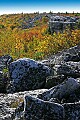 _MG_2071 bear rocks, dolly sods.jpg