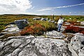 _MG_2226 david fattaleh-dolly sods.jpg