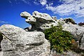 _MG_2267 dinosaur rocks.jpg