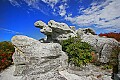 _MG_2272 dinosaur rock-dolly sods.jpg