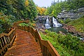 _MG_2356 blackwater falls.jpg