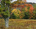 _MG_2386 canaan valley color.jpg