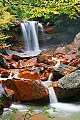 _MG_2494 south fork of the Blackwater River.jpg