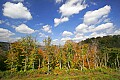 _MG_2933 highland scenic highway.jpg