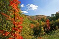 _MG_3011 highland scenic highway.jpg