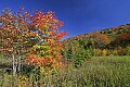 _MG_3031 highland scenic highway.jpg