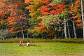 _MG_3035 bicyclists on trail in Canaan Valley.jpg