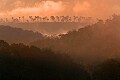 _MG_3089 I-79 scene.jpg