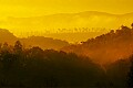 _MG_3094 I-79 scene.jpg