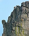 _MG_3272 climber.jpg