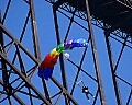 DSC_6349 jumper and bridge.jpg