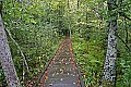 _MG_0195 glade walkway.jpg