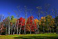 _MG_1544 blackwater fall color.jpg