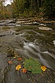 _MG_3085 wolf creek - fayette county.jpg