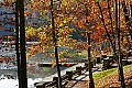 _MG_3156 babcock state park lake.jpg