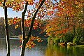 _MG_3207 babcock state park lake-flal.jpg