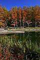 _MG_3238 babcock state park-fall.jpg