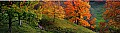 Canaan Valley Panoram 10-9-6.jpg