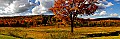 Canaan Valley Panorama 3 10-9-06 36x1175.jpg