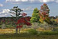 _MG_1387 Canaan Valley.jpg