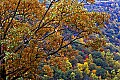 _MG_1992 hawks nest state park wv overlook.jpg