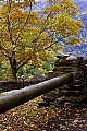 _MG_1996 hawks nest state park.jpg