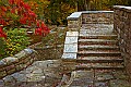 _MG_2024 babcock state park.jpg