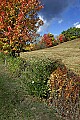 _MG_2350 fall color.jpg