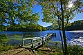 _MG_2649 dock-plum orchard lake.jpg