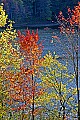 _MG_2701 kayaker plum orchard lake.jpg