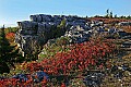 _MG_9078 Dolly Sods-Bear Rocks.jpg