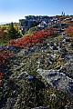 _MG_9091 dolly sods sunrise.jpg