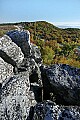 _MG_9122 Dolly Sods-bear rocks area.jpg