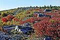 _MG_9196 Dolly Sods-Bear Rocks.jpg