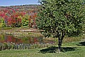 _MG_9258 canaan valley.jpg