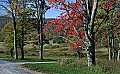 _MG_9273 canaan valley fall color.jpg