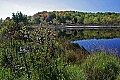 _MG_9322 beaver pond along Route 93.jpg