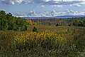 _MG_9409 fall color canaan valley.jpg