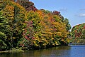 _MG_9500 blackwater river fall color.jpg