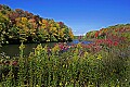 _MG_9519 blackwater river-thomas-fall color.jpg