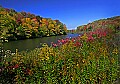 _MG_9523 blackwater river fall color-thomas.jpg