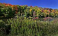 _MG_9527 blackwater river-fall color-thomas.jpg