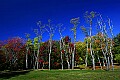 _MG_9550 blackwater falls state park.jpg