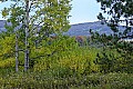 _MG_9642 Canaan Valley.jpg