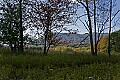 _MG_9654 canaan valley.jpg