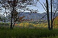 _MG_9656 canaan valley.jpg