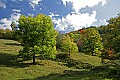 _MG_9677 Canaan Valley.jpg