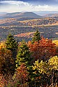 _MG_1334 spruce knob-fall color.jpg