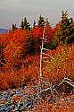 _MG_1368 spruce knob sunset.jpg