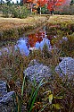 _MG_1652 blackwater river in canaan valley state park.jpg